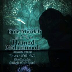 دانلود آهنگ حامد محمدی گل مرداب